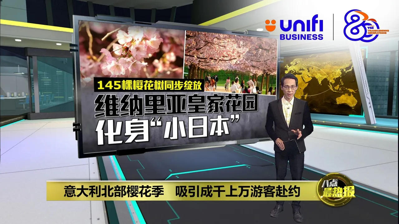 意大利北部樱花季   吸引成千上万游客赴约 | #UNIFIBUSINESS