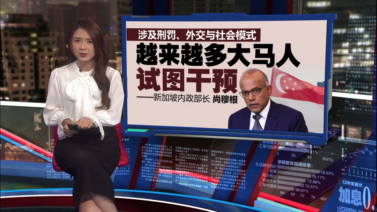 涉嫌鼓动新国学生施暴  大马女博士禁止入境狮城