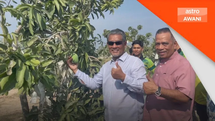 Bina telaga tiub, pastikan kawasan bendang terima air mencukupi