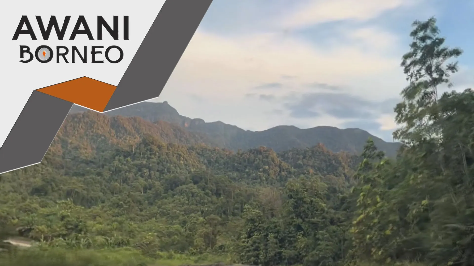 Sarawak perluas kawasan hutan terlindung sepenuhnya