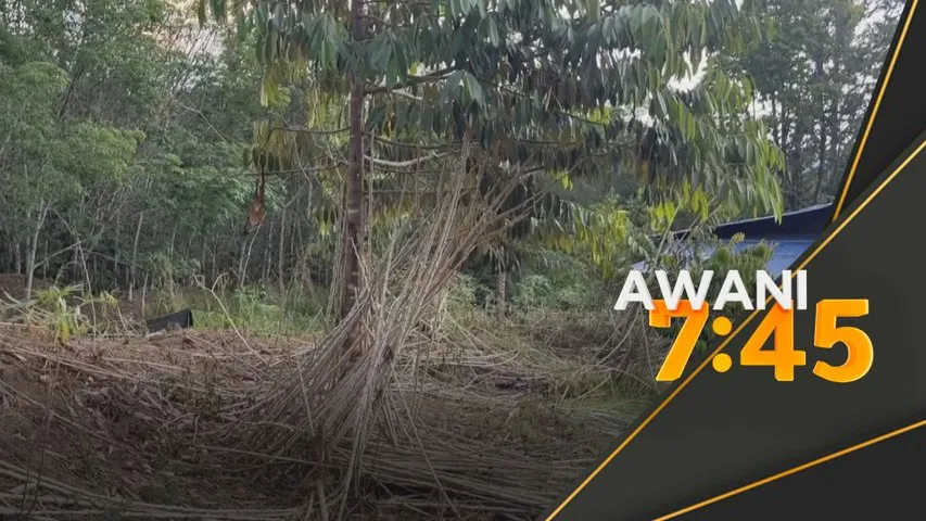 Kota Star masih tahap 2, 14 daerah tahap berjaga-jaga