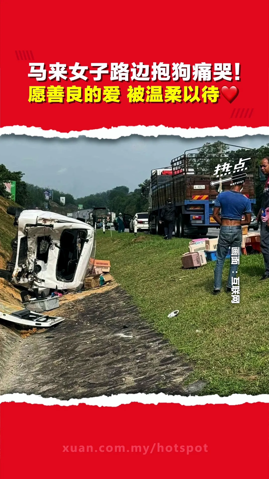 跨越宗教禁忌的爱！ 车祸致25猫狗受惊逃散　马来女子抱狗痛哭却遭质疑？