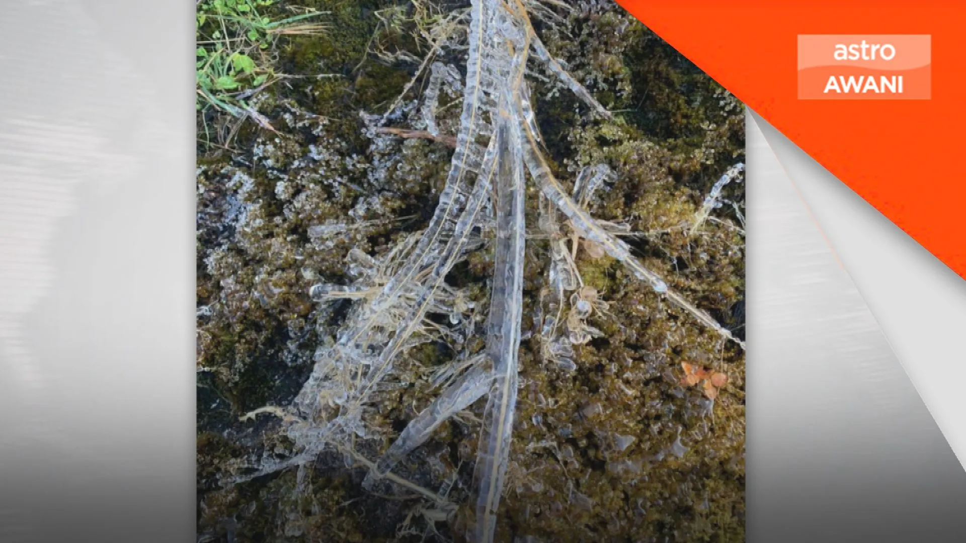 Pembekuan ais di puncak Kinabalu