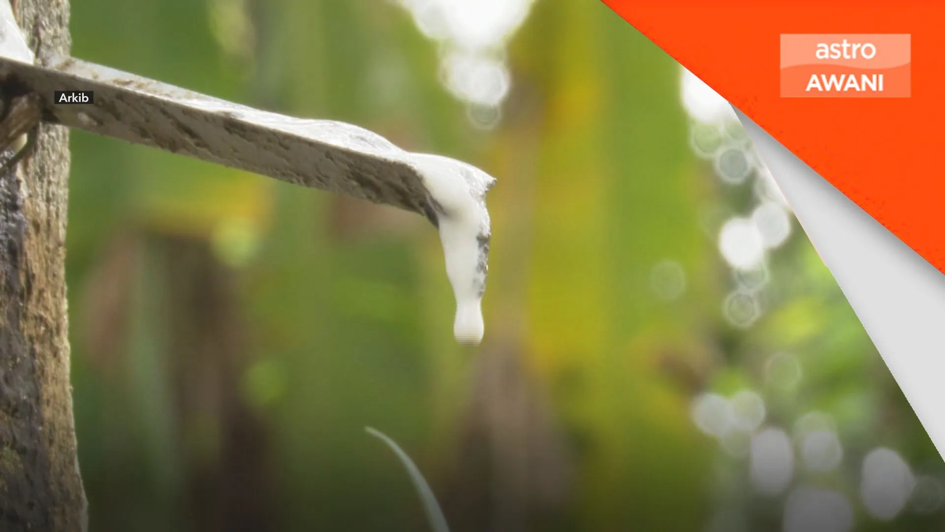 RISDA naik harga belian, manfaat bantu pengusaha