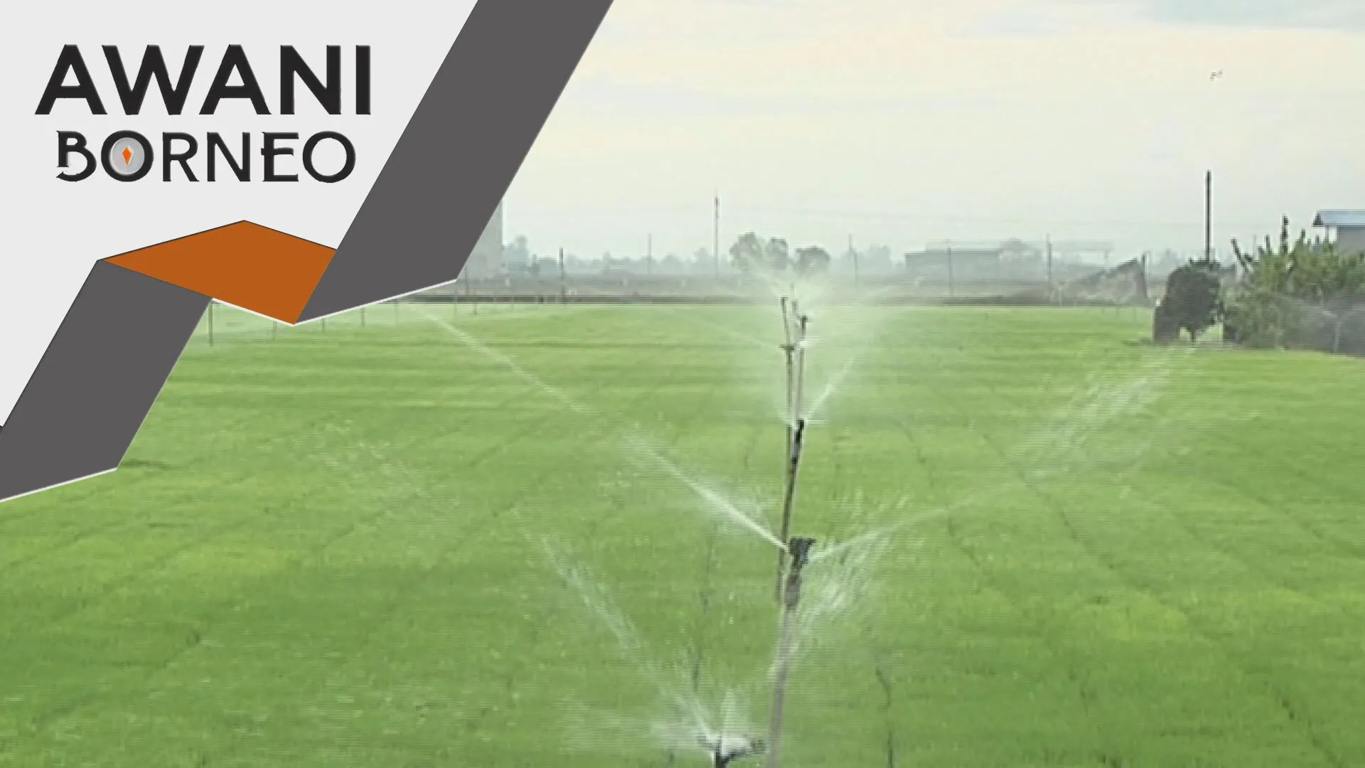 Inisiatif kebun dapur, kerjasama dengan perbadanan pinjaman Sabah