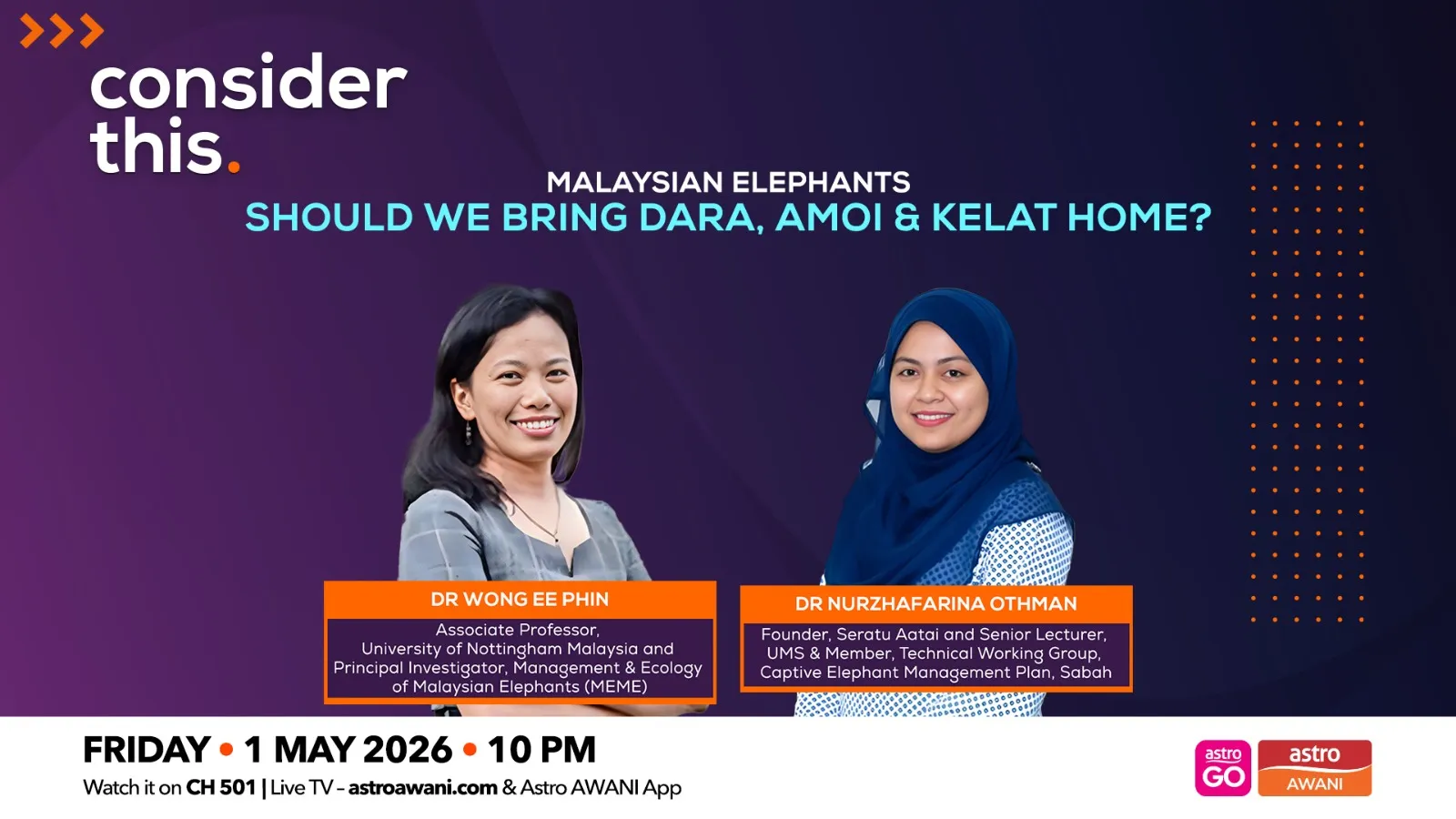 Malaysian Elephants (Part 1) — Should We Bring Dara, Amoi & Kelat Home?