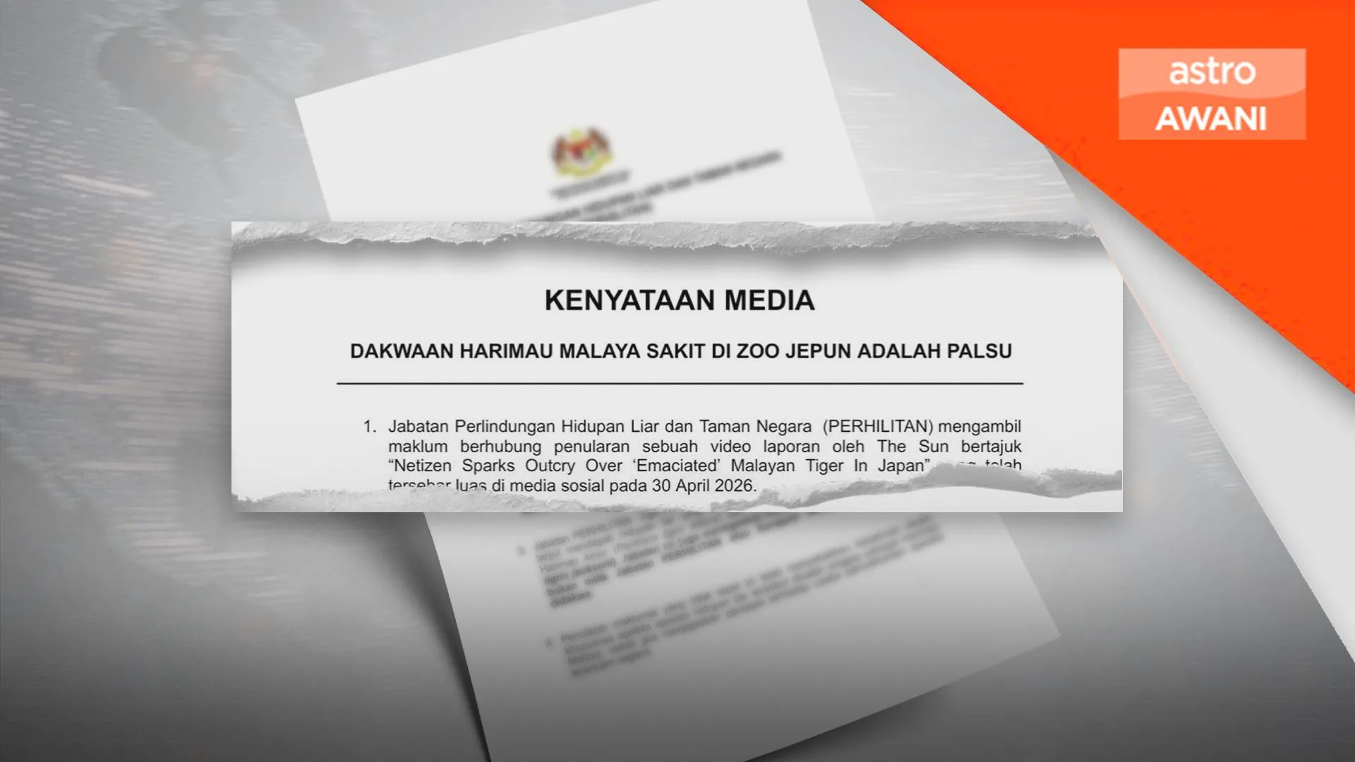 Dakwaan Harimau Malaya sakit di Jepun palsu - Perhilitan