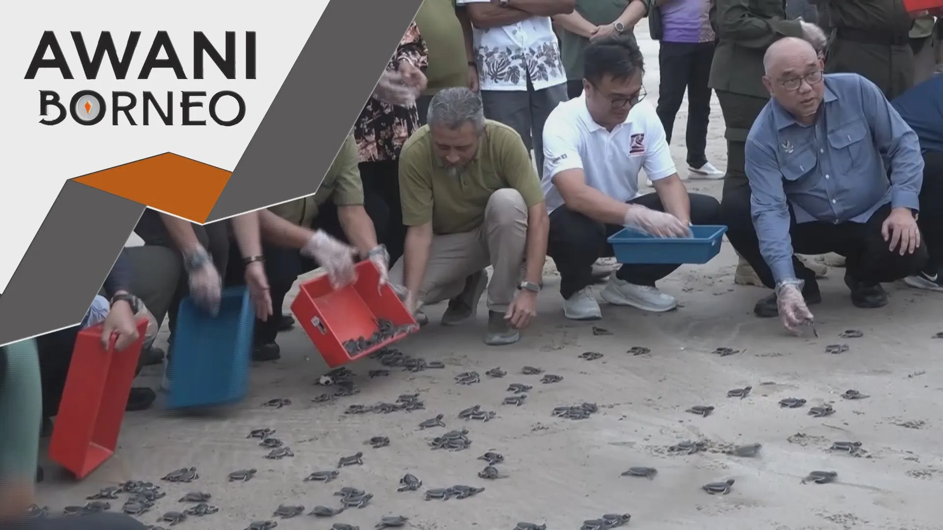 Usaha Konservasi Penyu Pugu diiktiraf Kerajaan Sarawak