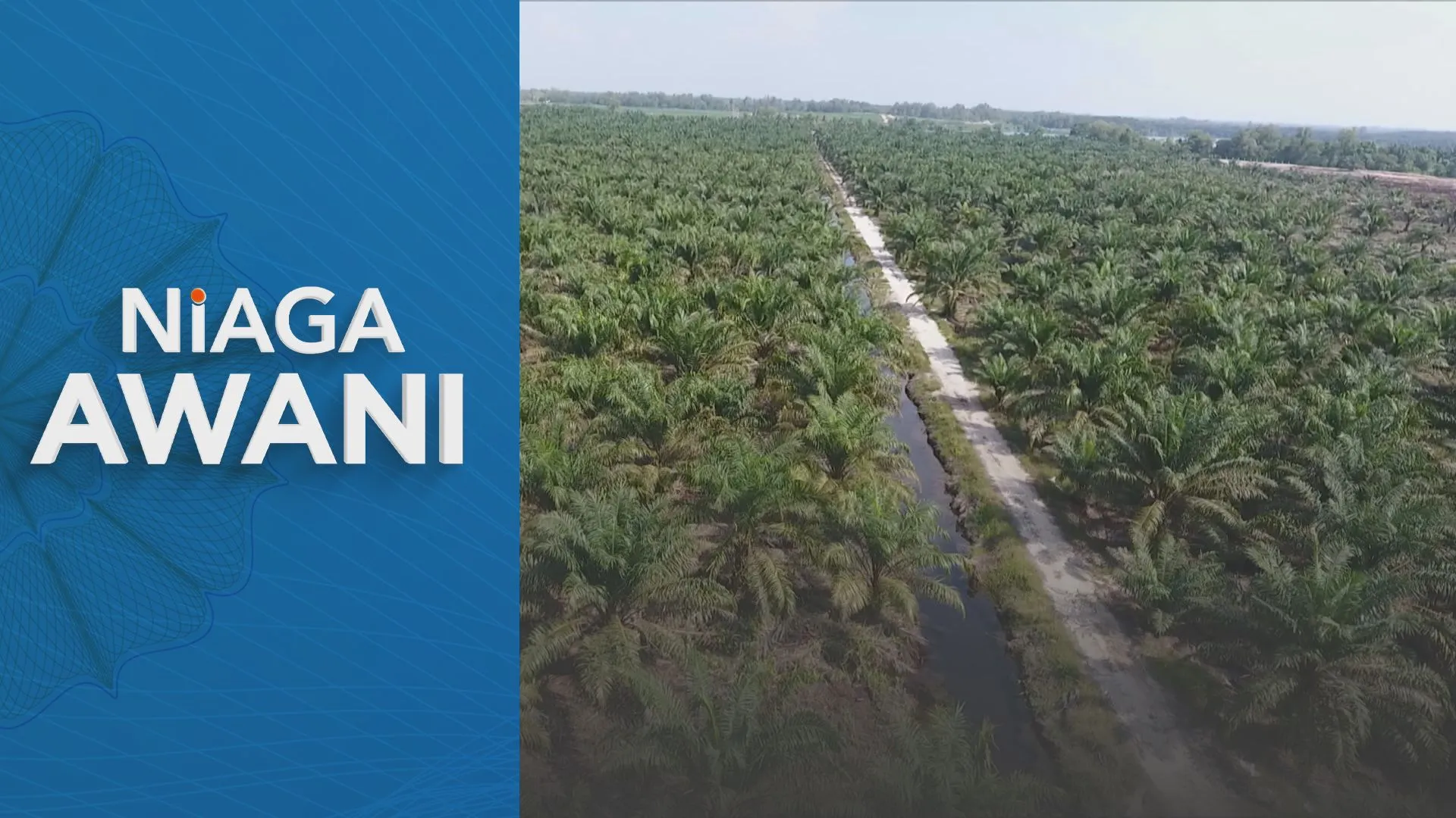 Harga Minyak Sawit RM4,280; Prestasi Huluan Dijangka Lemah 1Q26
