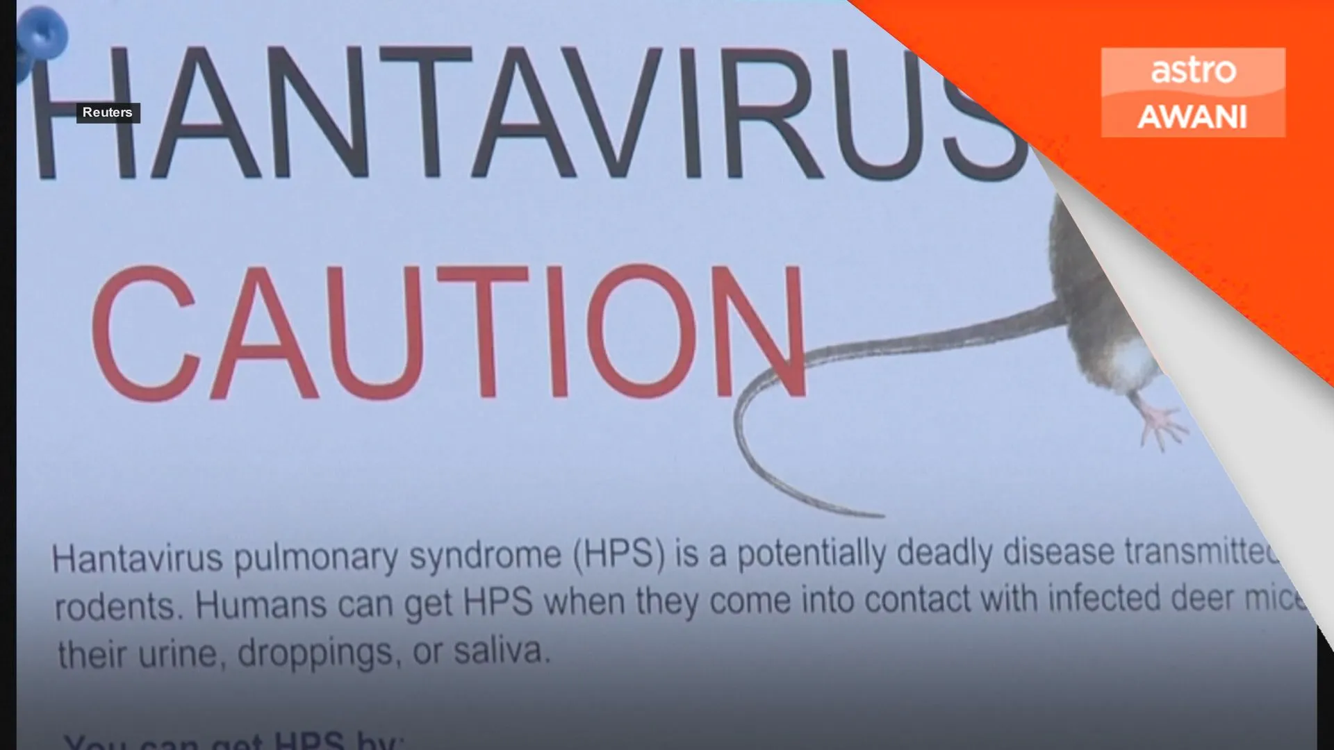 Risiko Hantavirus kepada orang awam sangat rendah