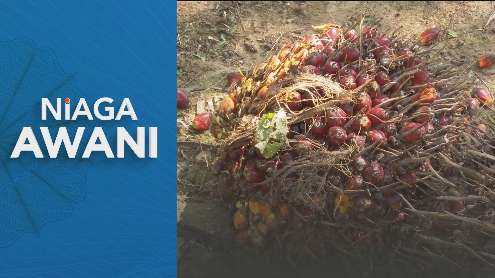 Niaga Hadapan MSM diunjur dalam julat RM4,200 hingga RM4,300