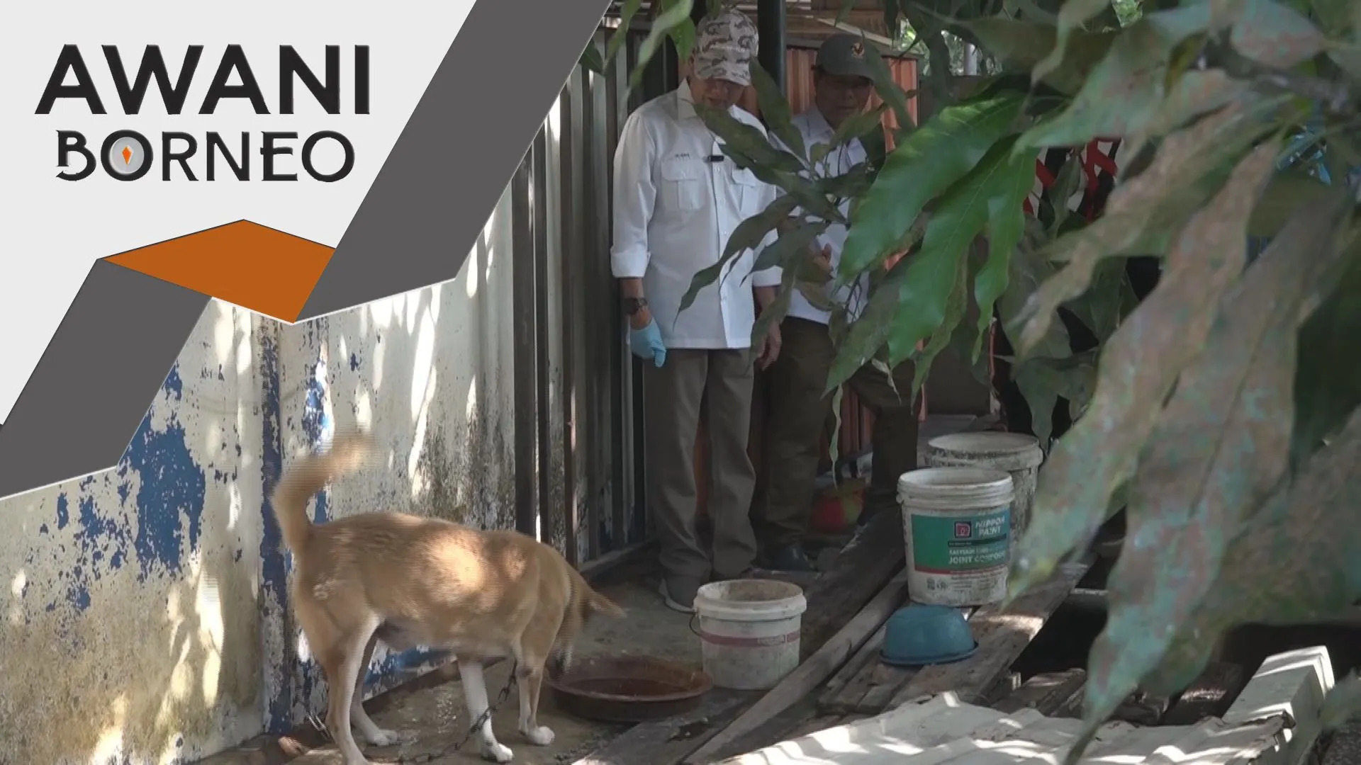 Lewat rawatan punca utama kematian rabies