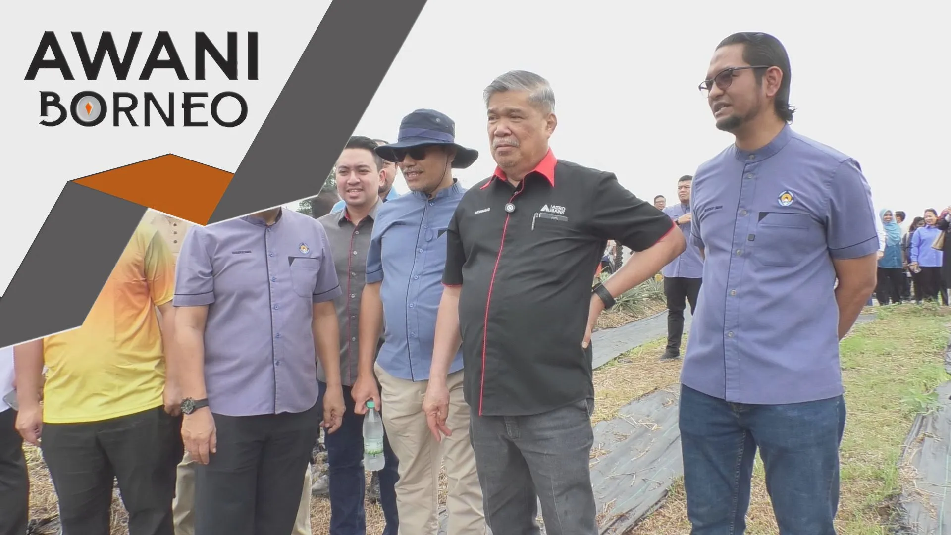 Bekalan beras dijangka kekal stabil hingga hujung tahun