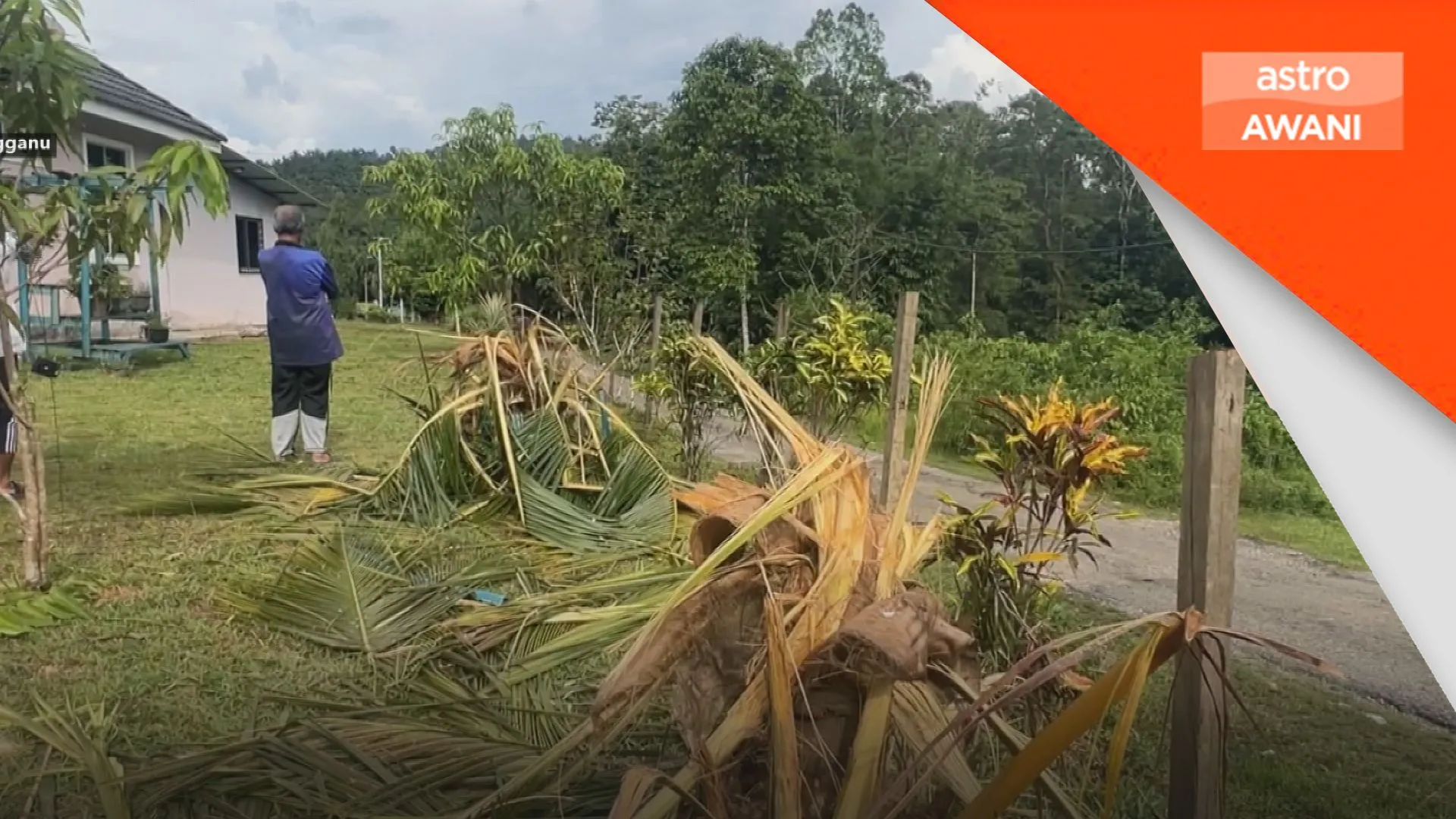 Penduduk kerugian, gajah 'nikmati' hasil tanaman