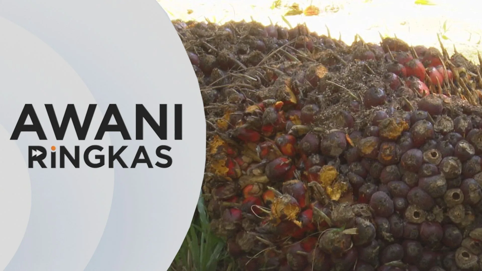 AWANI Ringkas: Biodiesel B15 bermula esok