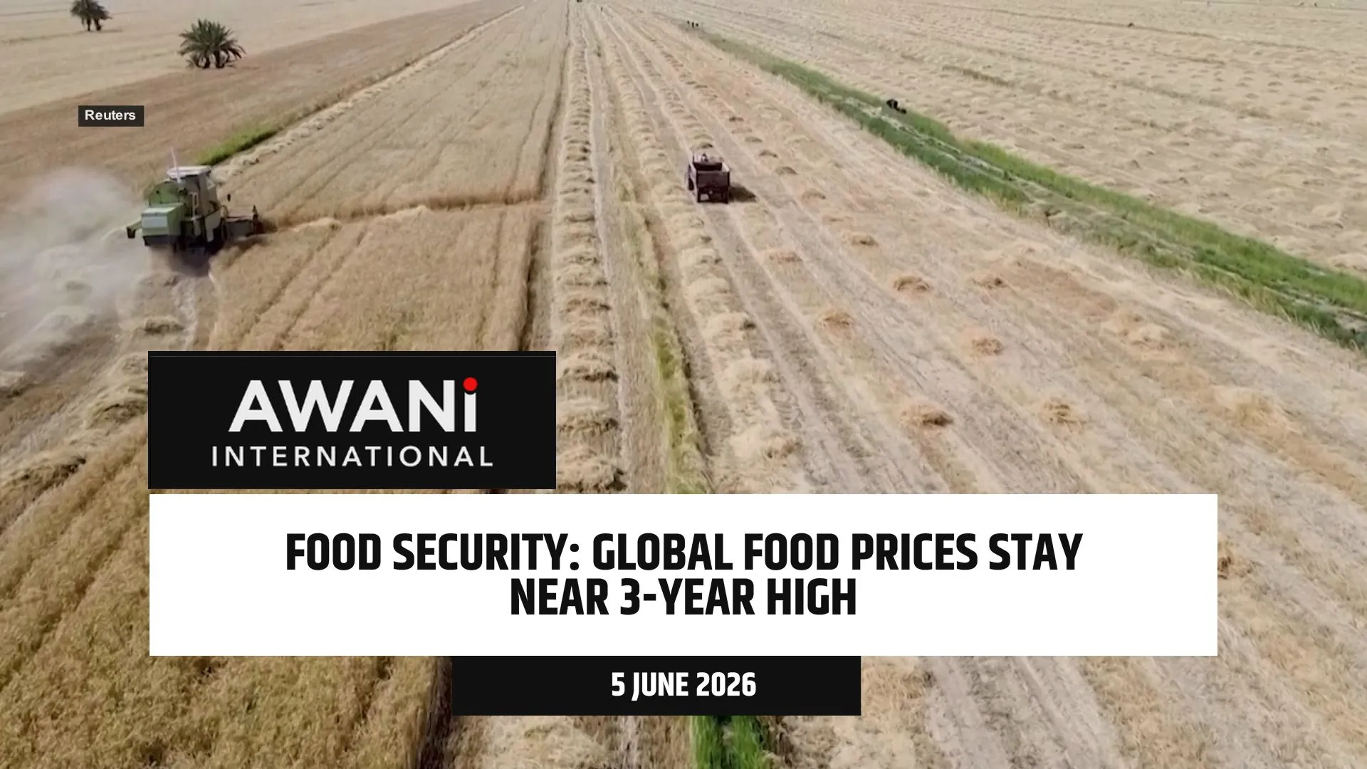 Food security: Global food prices stay near 3-year high