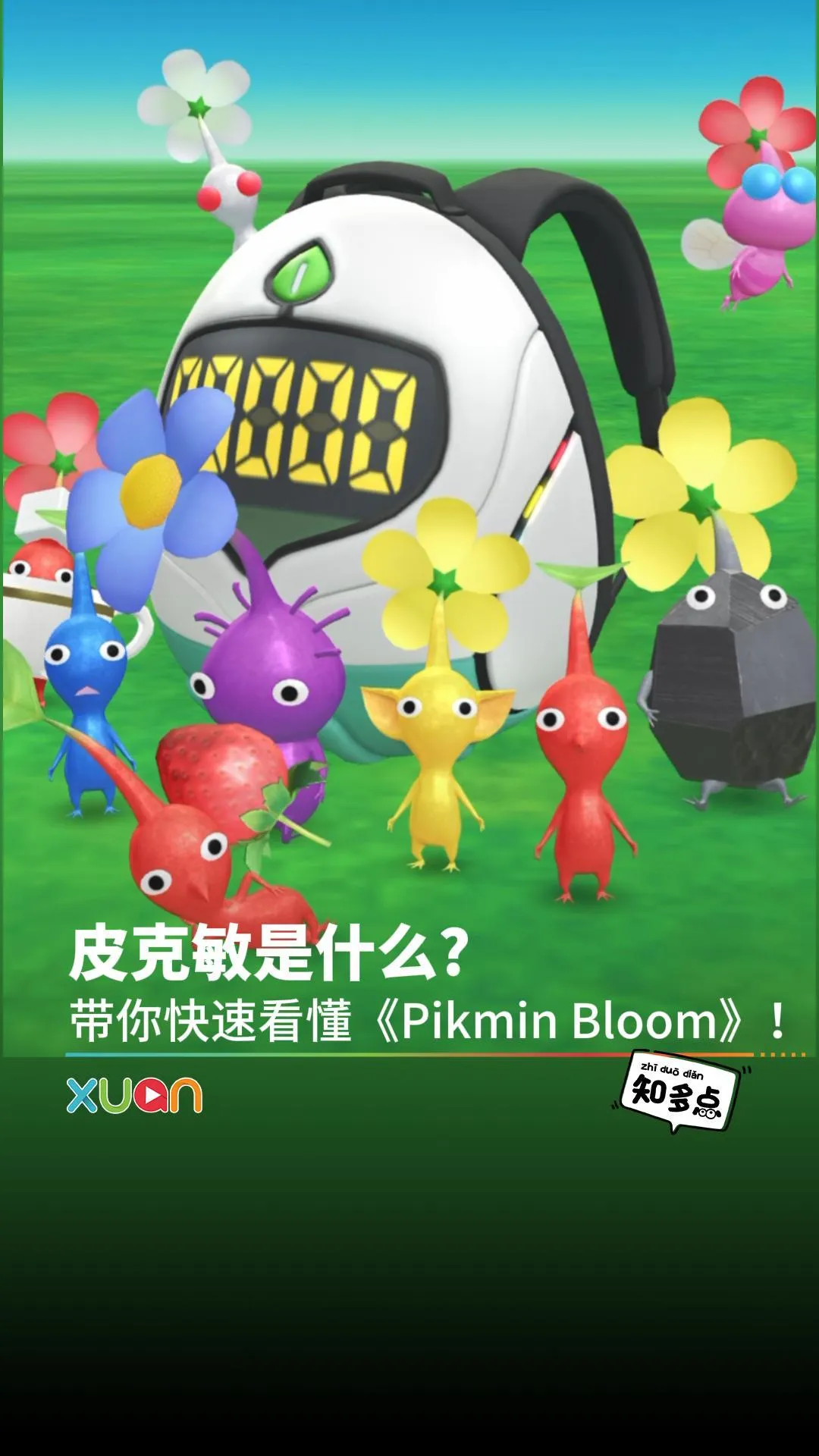 皮克敏是什么? 带你快速看懂《Pikmin Bloom》