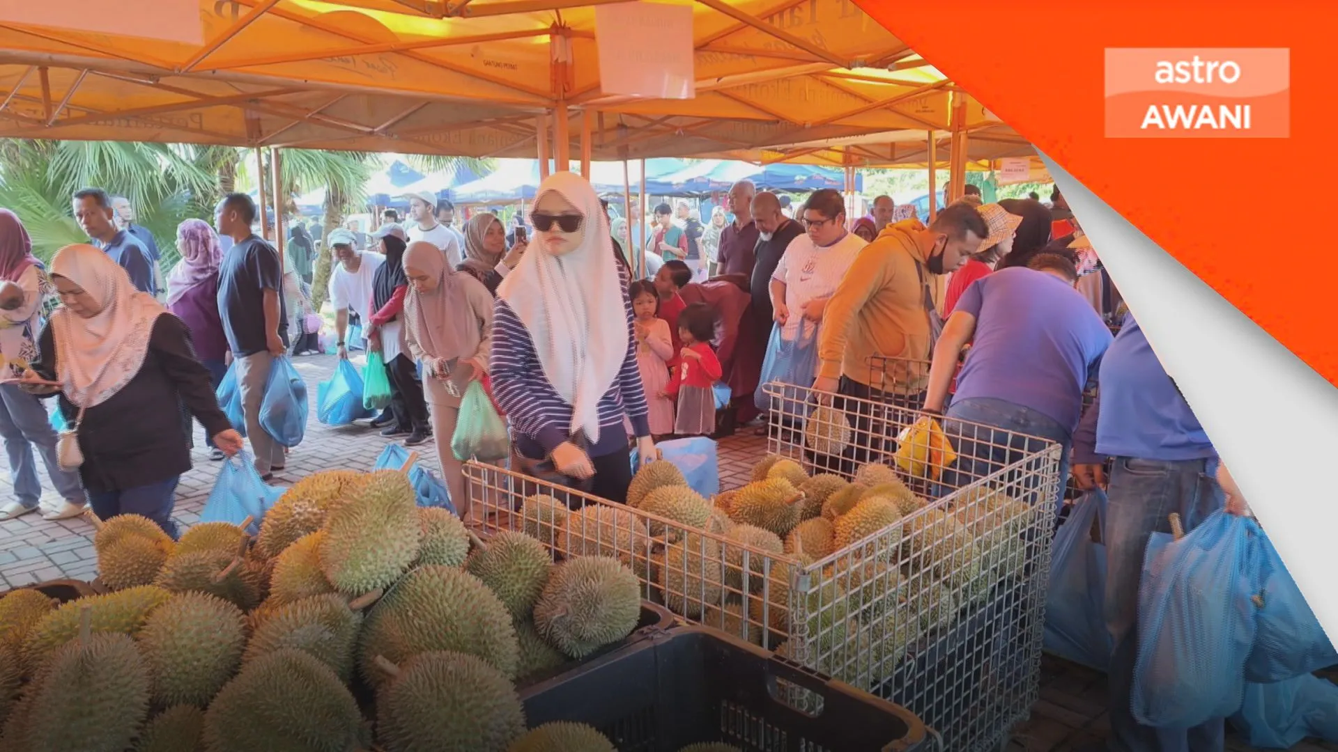 Peningkatan bekalan jadikan harga lebih murah