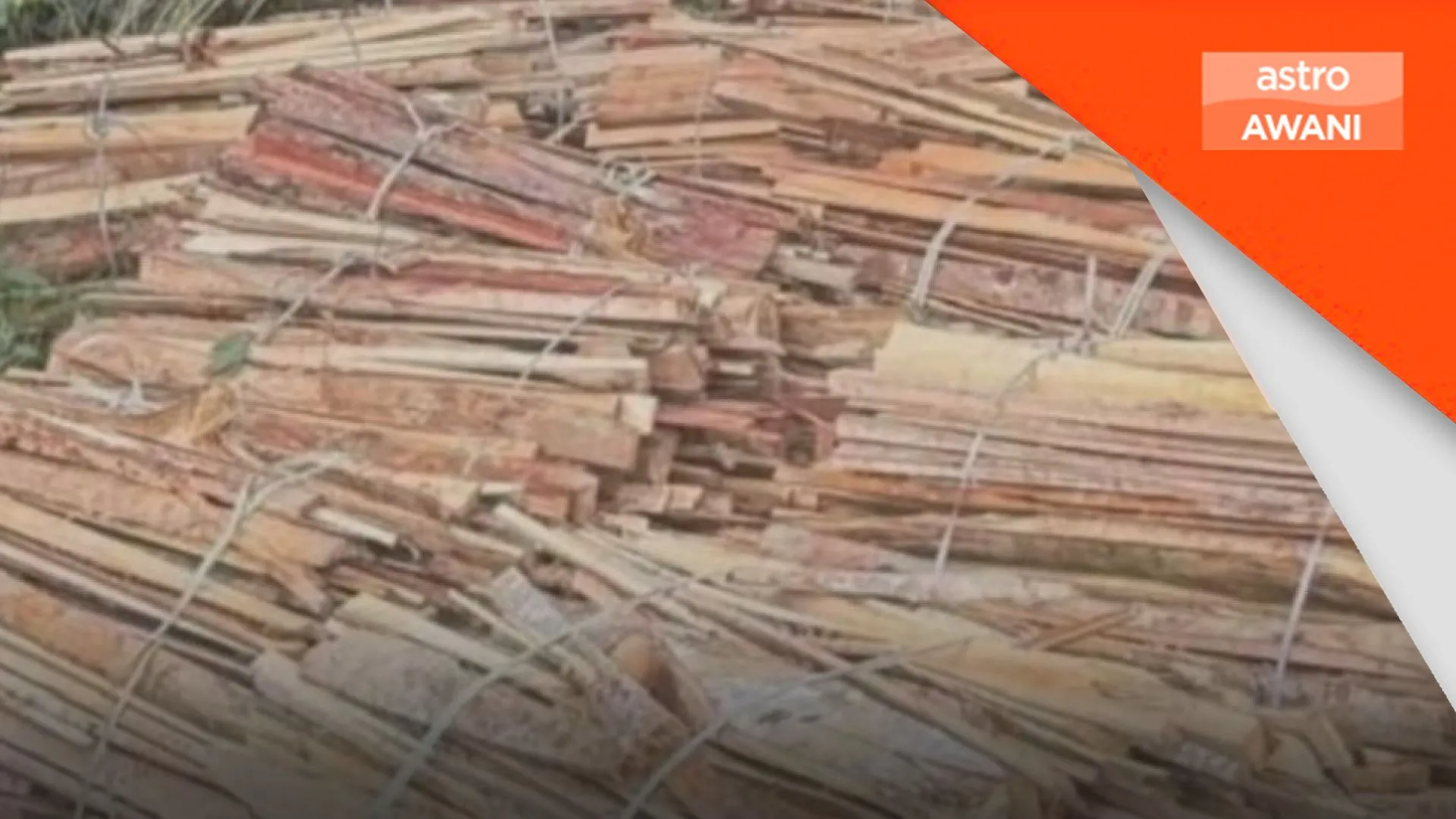 Kilang kayu haram tumpas, PGA rampas RM1.69 juta