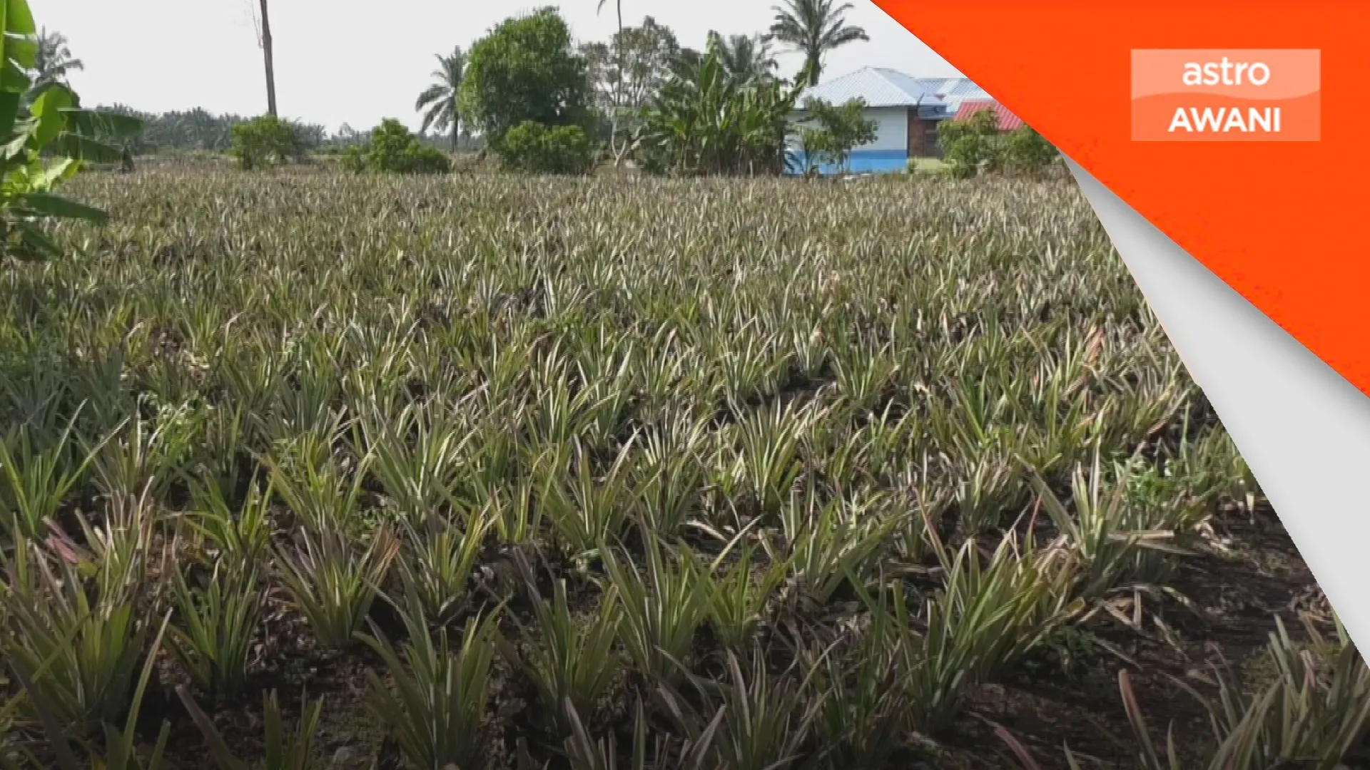 Konflik Asia Barat: Kos baja diunjur naik hingga 20 peratus
