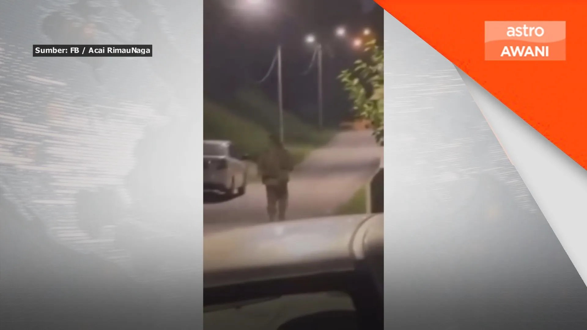Polis kesan lelaki berpakaian ala tentera dalam video tular