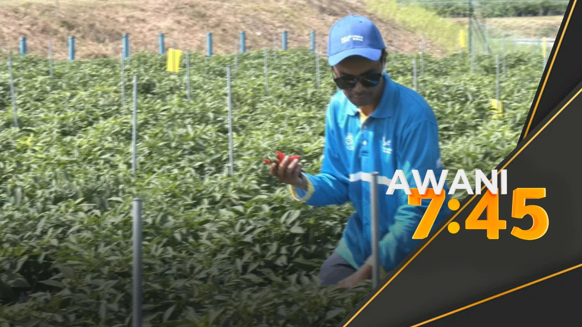 Zakat Selangor: Laman Agro Ehsan semai harapan baharu buat asnaf