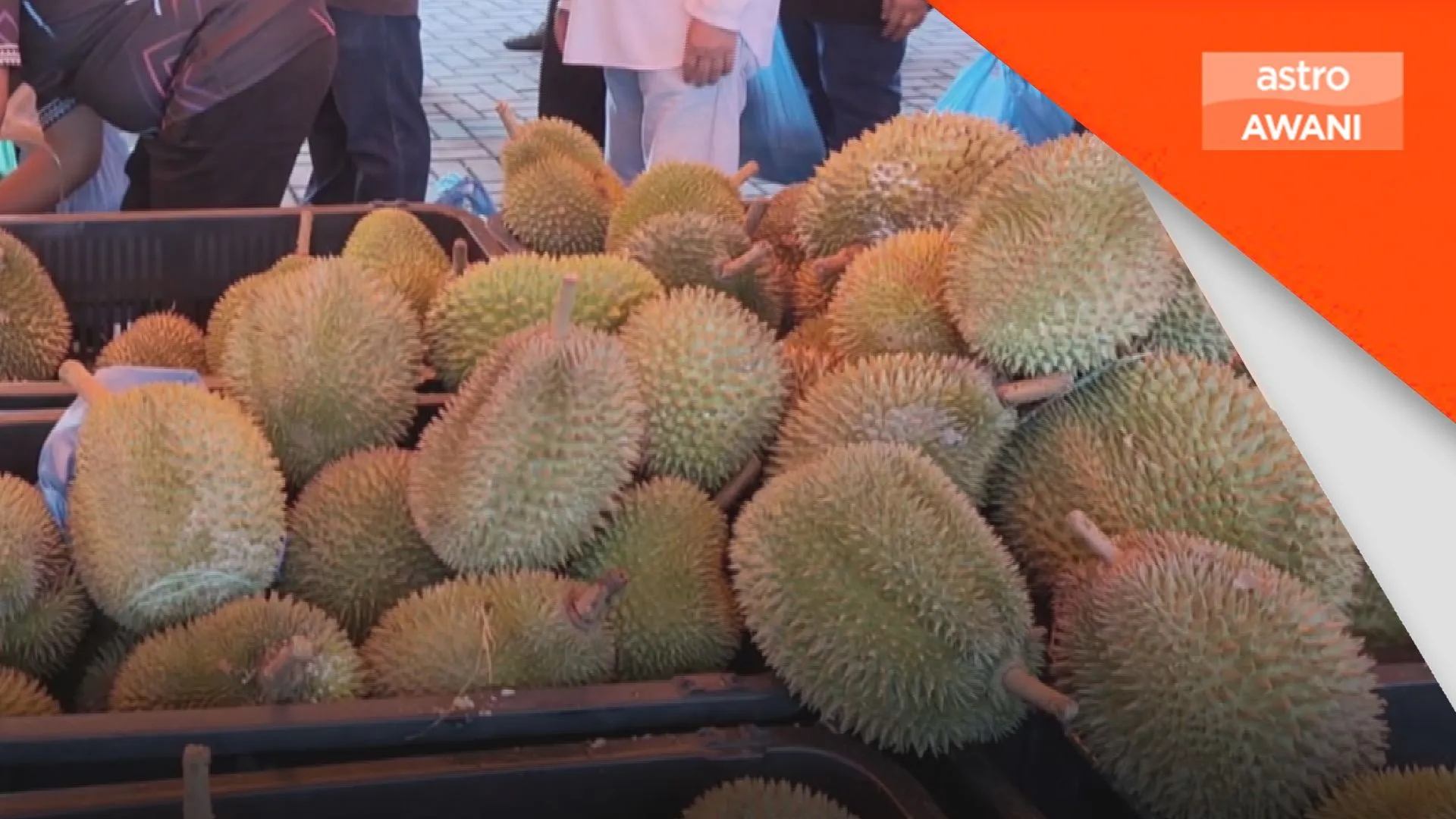 Anwar mahu bawa isu harga durian ke China, runding dengan Li Qiang