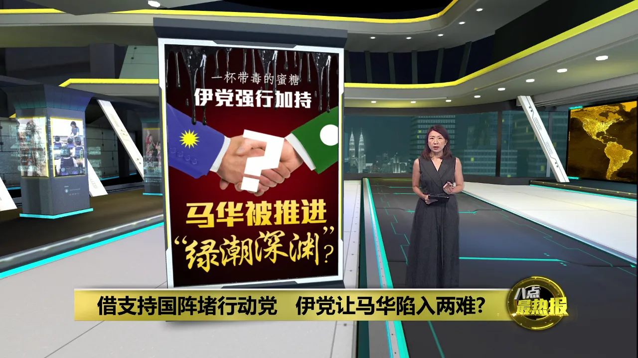 伊党公开挺马华   马华被推进“绿潮深渊”？