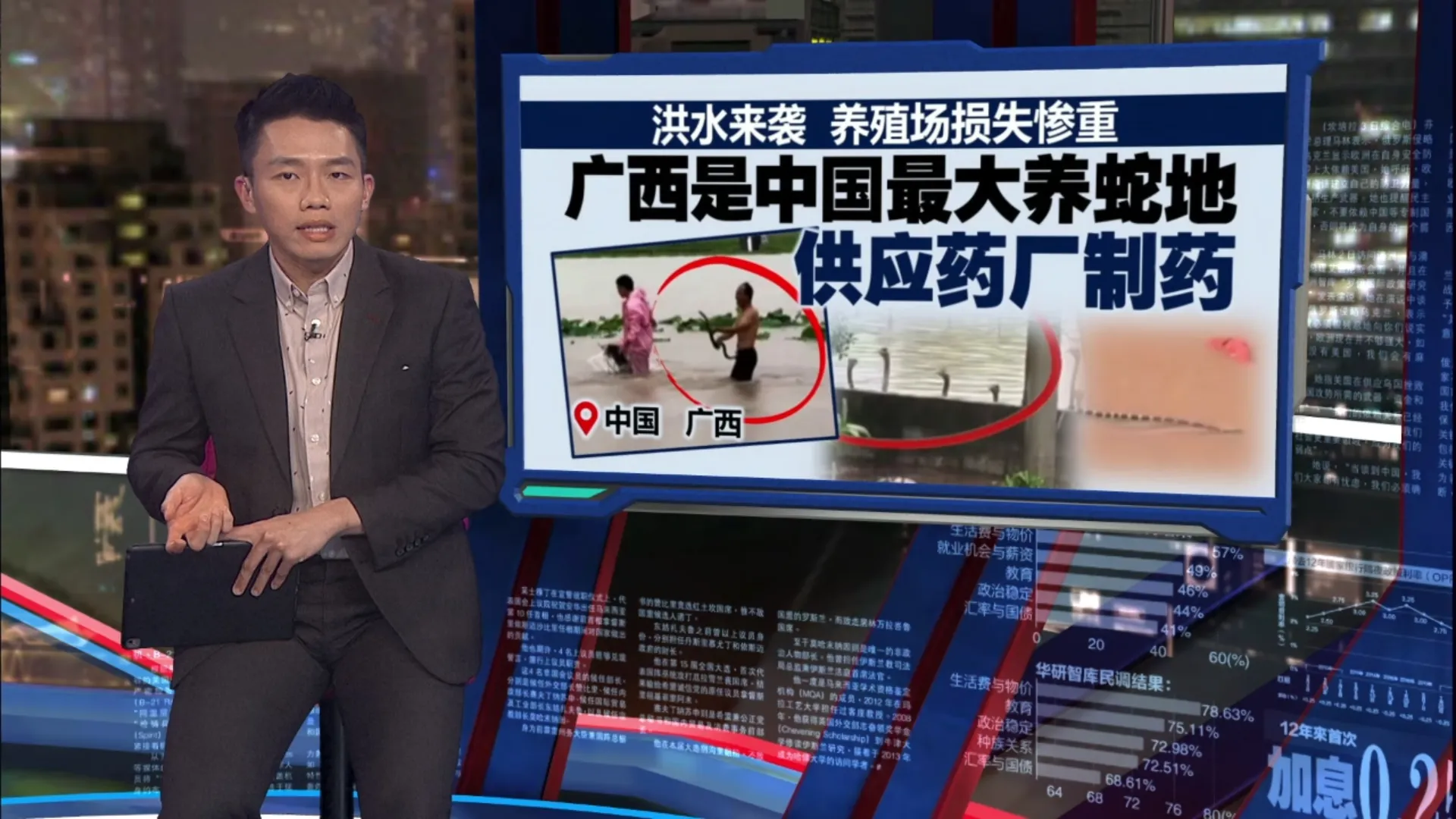 广西爆发大洪灾   近千蛇逃窜咬死人