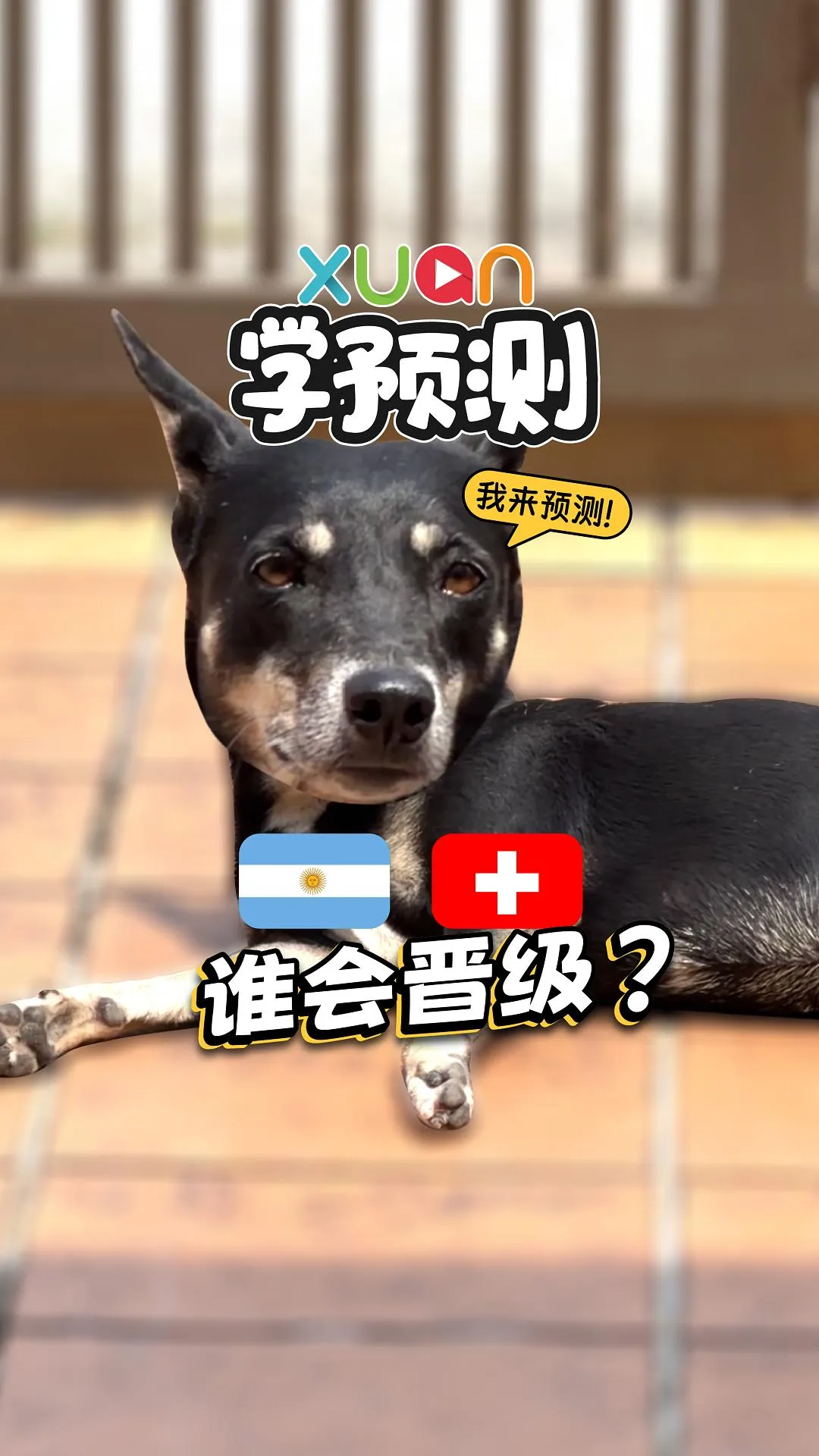 用狗狗来预测：阿根廷 V.S. 瑞士的对垒结果【世界杯XUAN学预测】