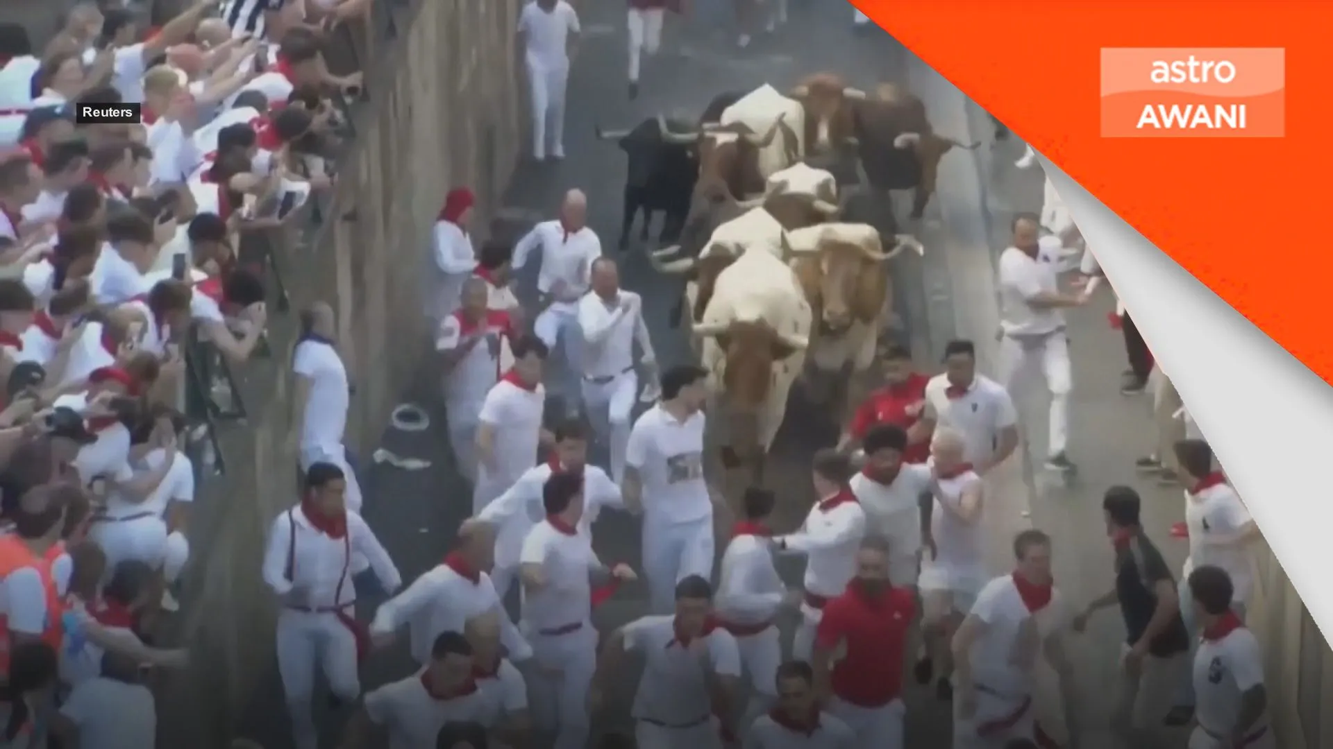 12 cedera dalam larian lembu San Fermin
