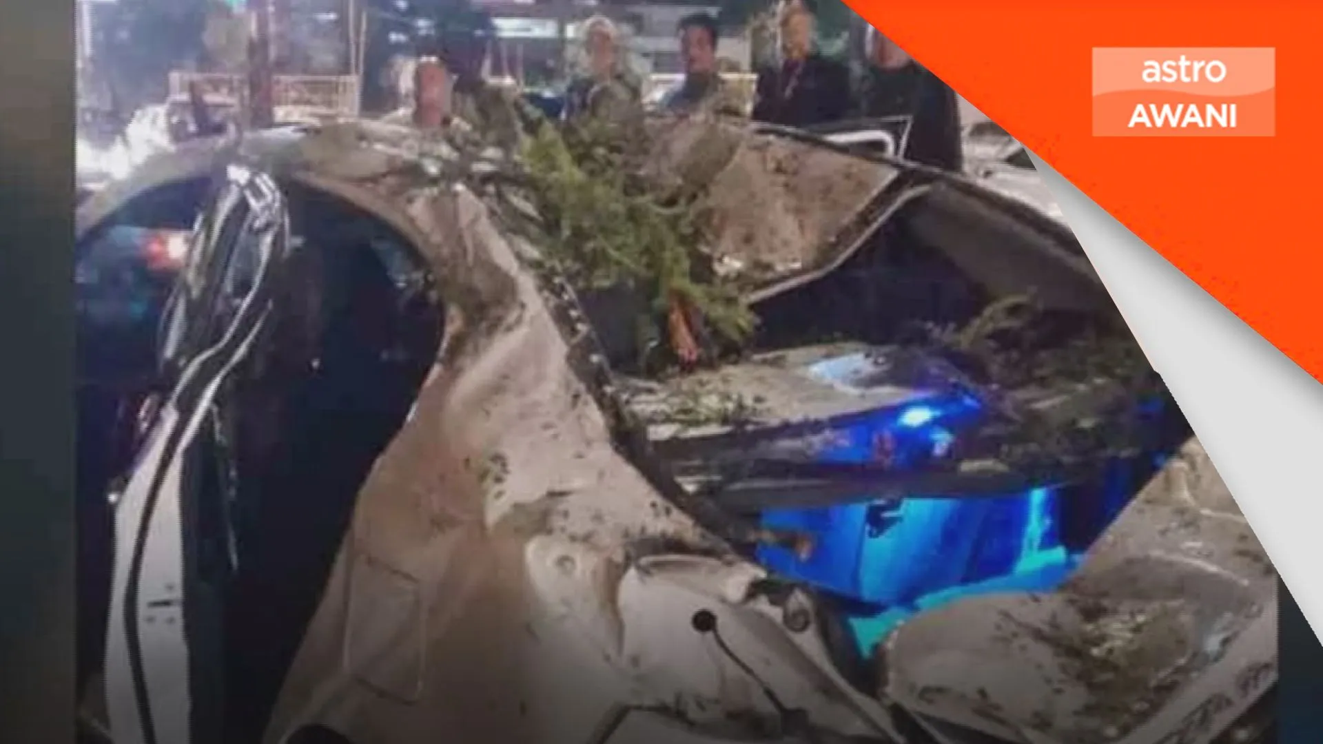 Lelaki maut dihempap pokok tumbang di Jalan Tun Razak