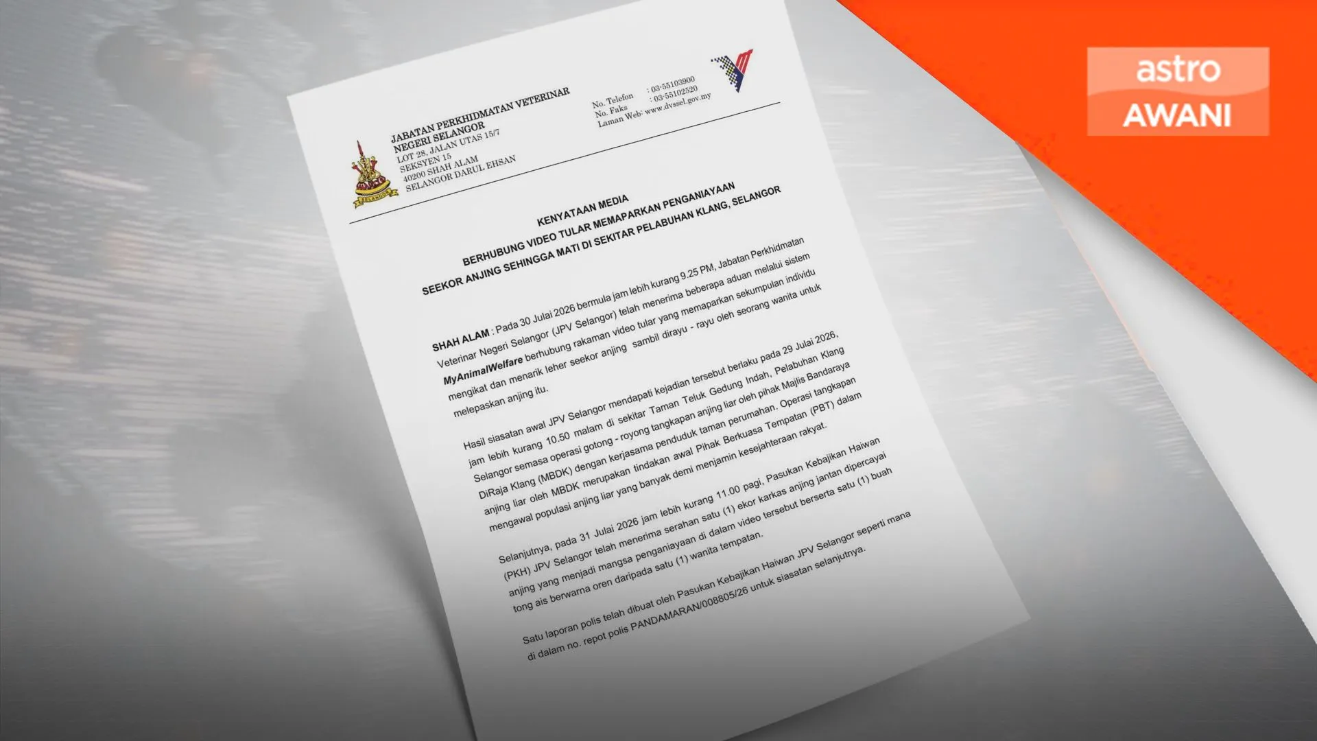 Anjing mati ketika operasi, JPV Selangor siasat