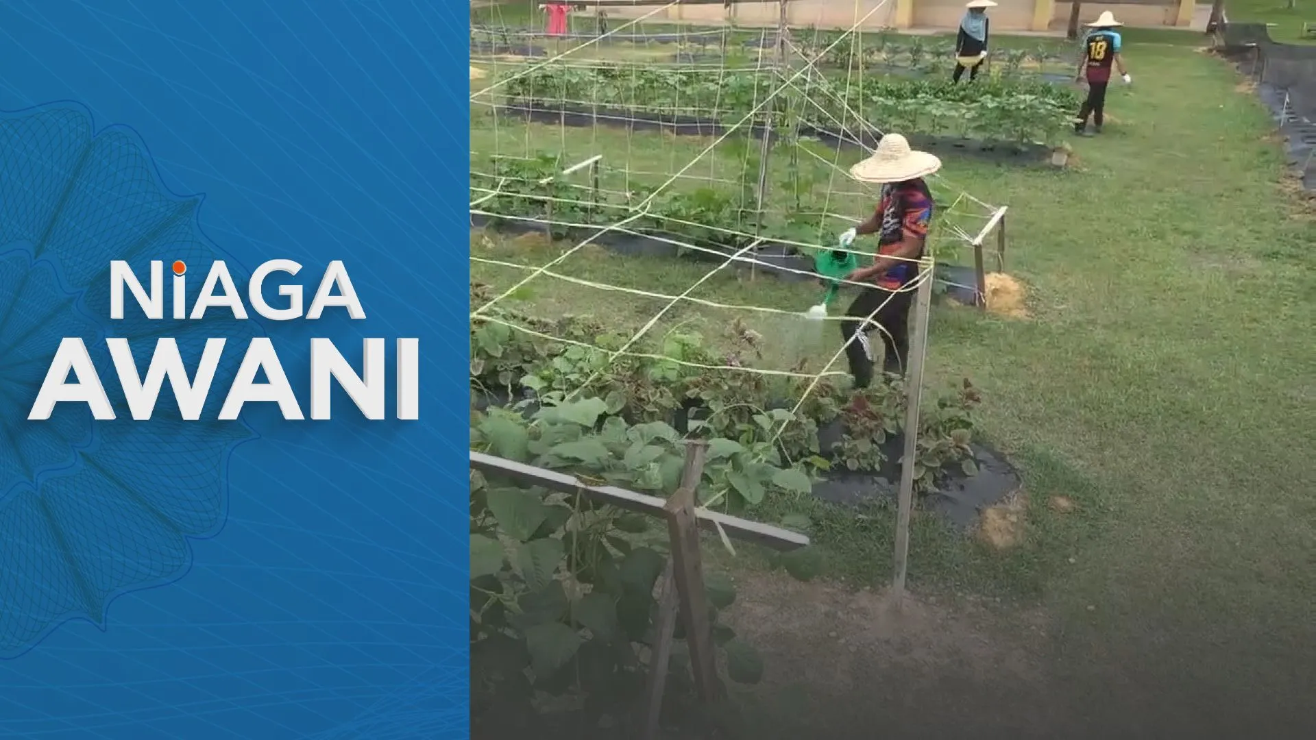 PBT diminta kenal pasti tanah rintis kosong di Selangor