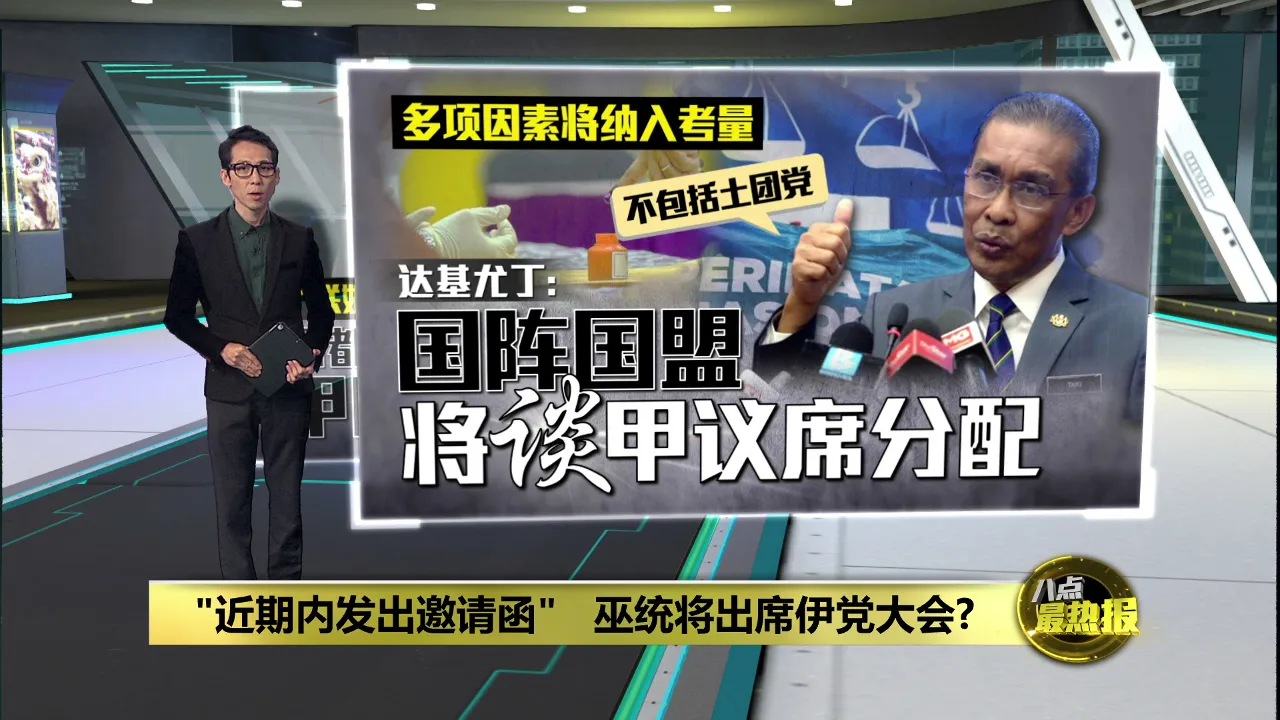 间接承认"政治婚姻"关系   巫统受邀出席伊党大会