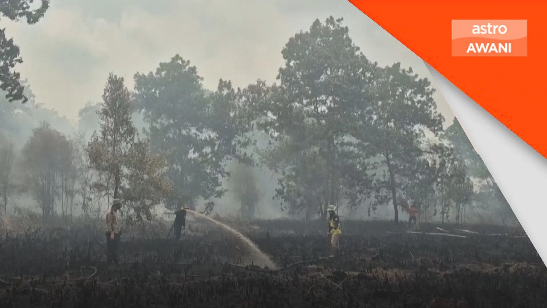 Lebih 107,000 hektar hutan, tanah terjejas di Indonesia