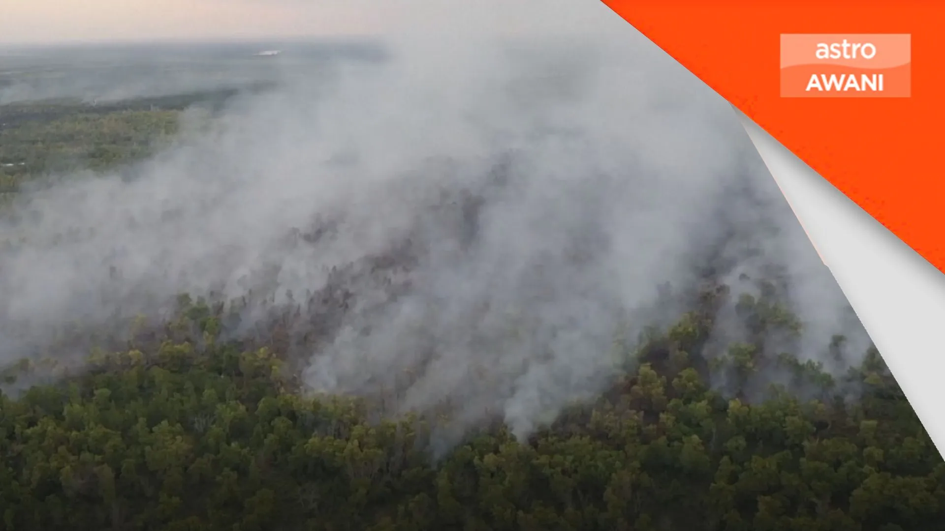 Lebih 107,000 hektar hutan, tanah terjejas di Indonesia