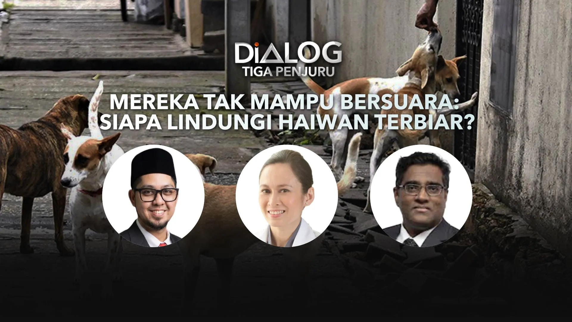 Dialog Tiga Penjuru: Mereka Tak Mampu Bersuara | Siapa Lindungi Haiwan Terbiar?