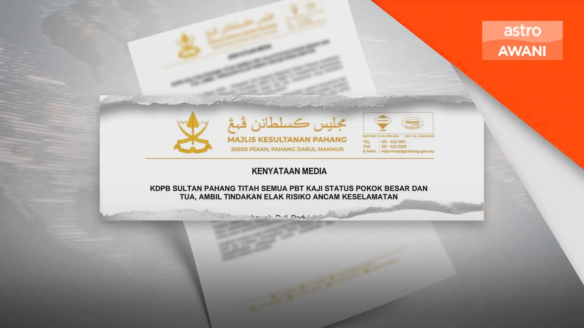 Sultan Pahang titah PBT periksa pokok besar dan tua demi keselamatan rakyat