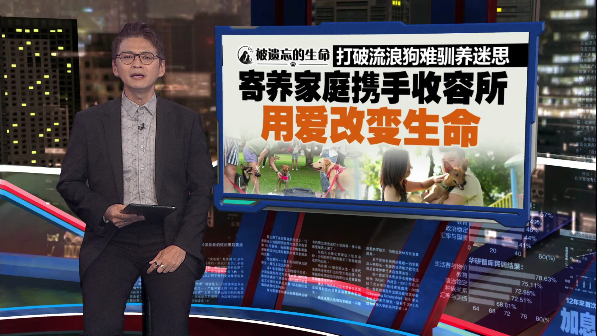 名种犬频遭弃养 　“菜菜”可能一生都等不到家   其实流浪狗也乖巧聪明