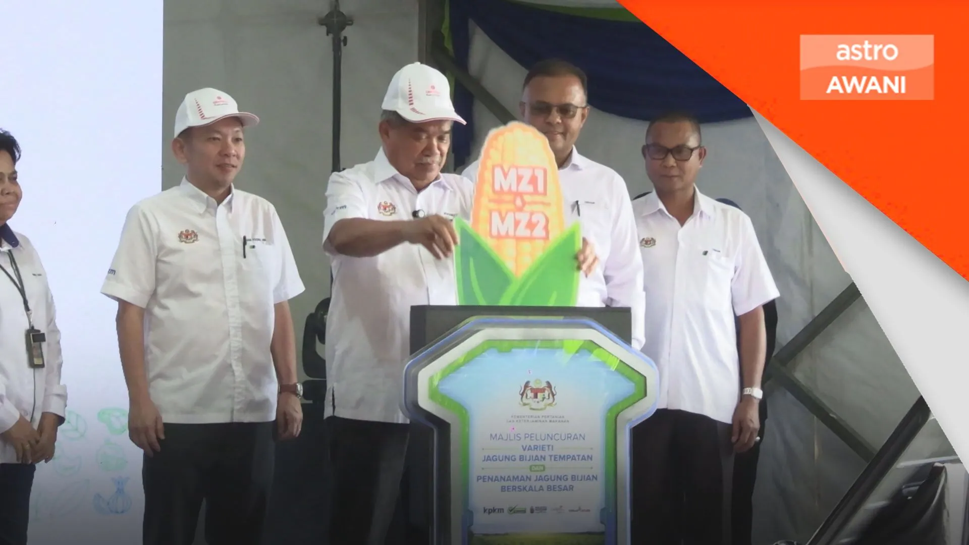 Jagung bijian tempatan stabilkan harga ayam, telur - Mohamad Sabu