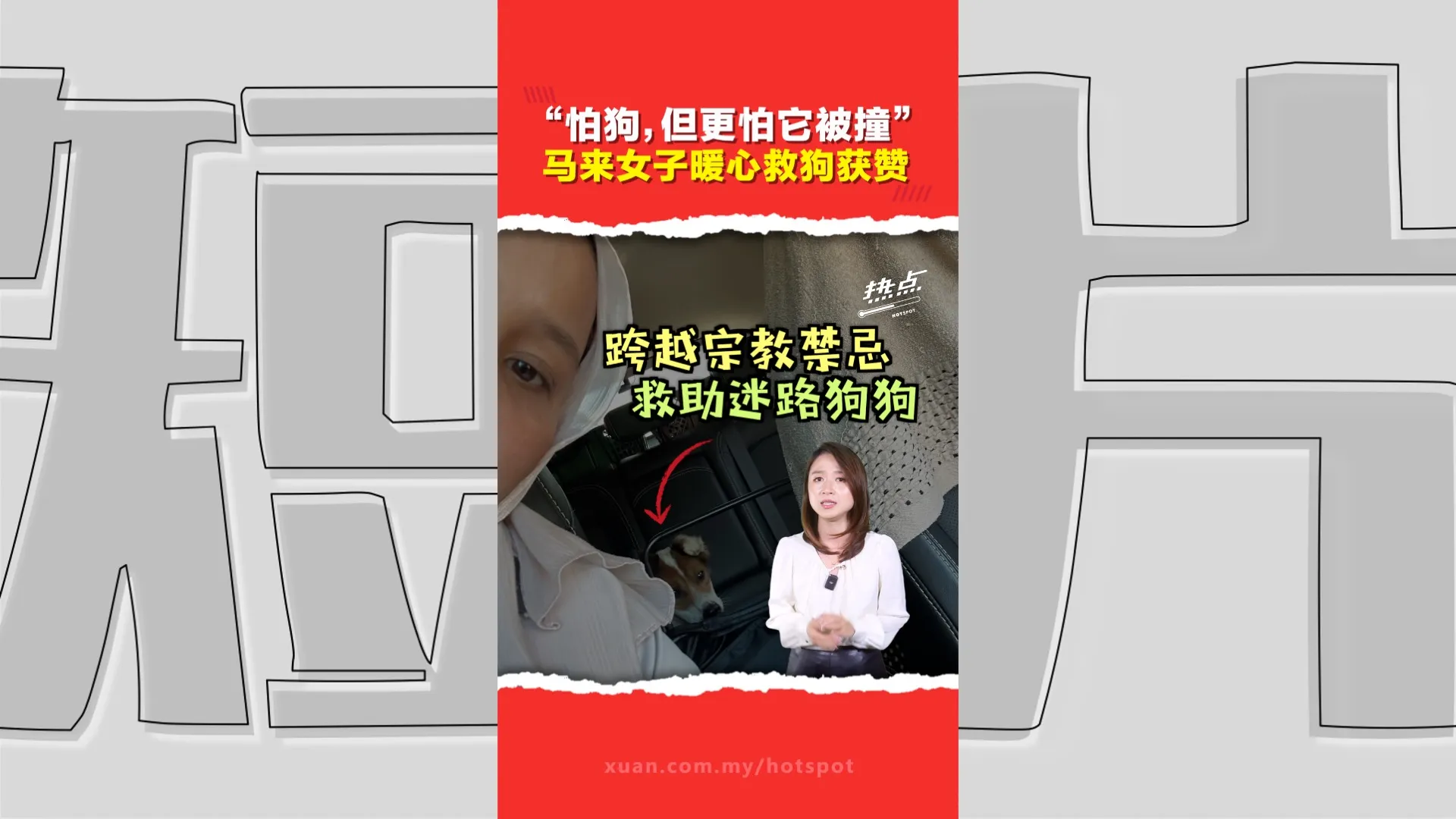 马来女子克服恐惧  街边救狗助找回主人！ 网民不分种族宗教狂赞善举