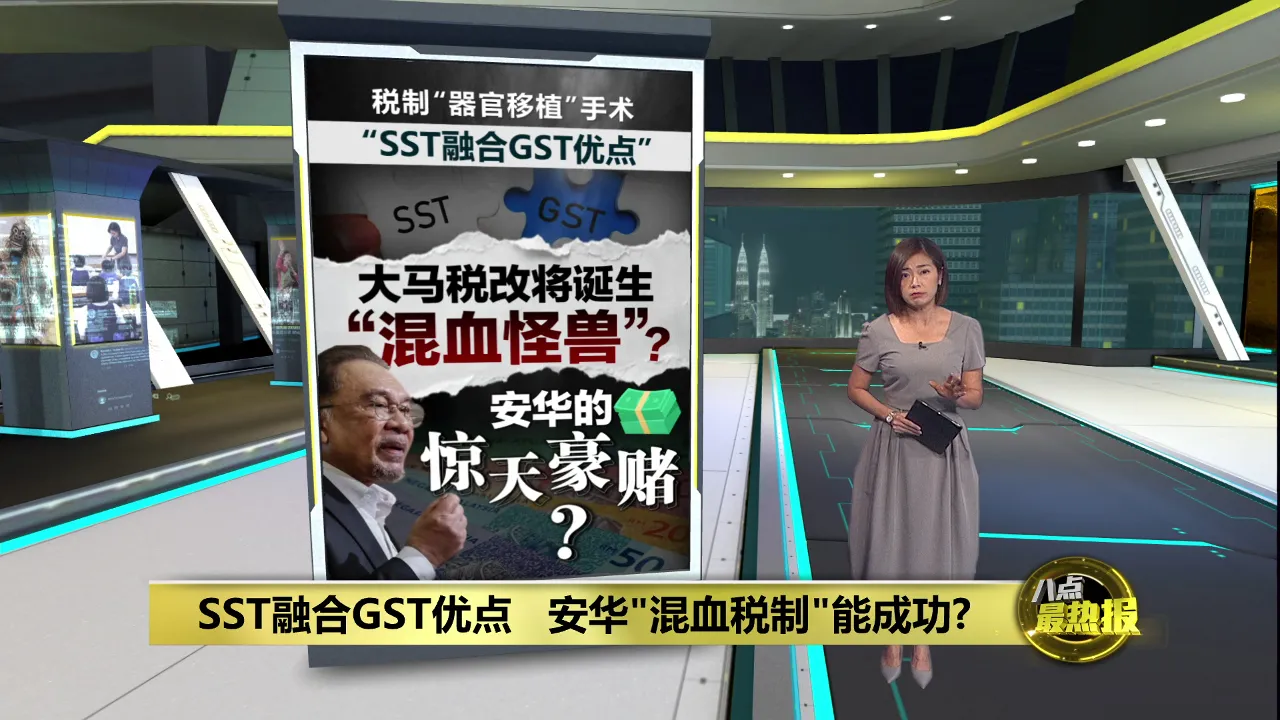 要SST融合GST优点   安华"混血税制"能成功?