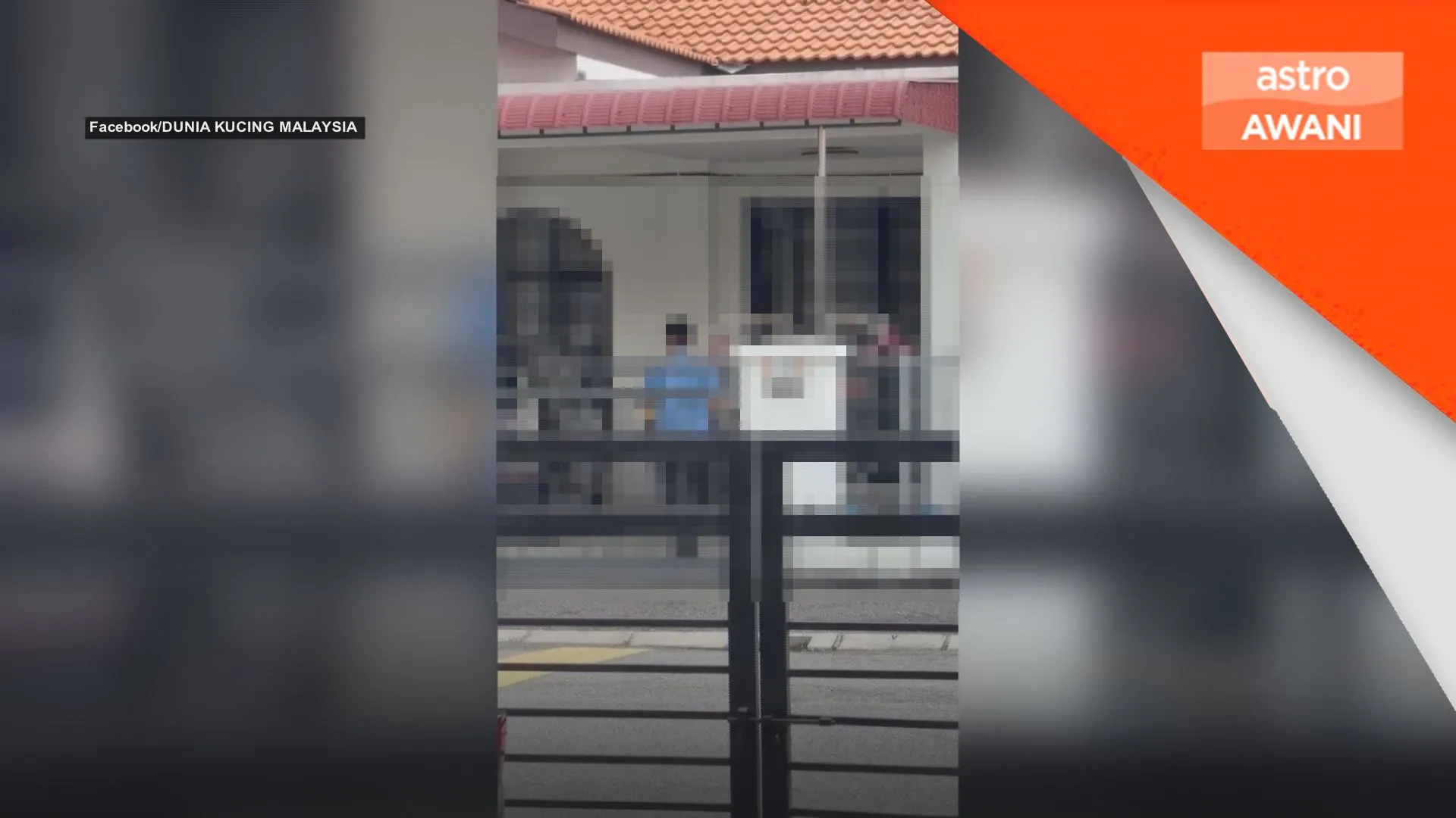 Polis tahan lelaki disyaki pukul anak kucing