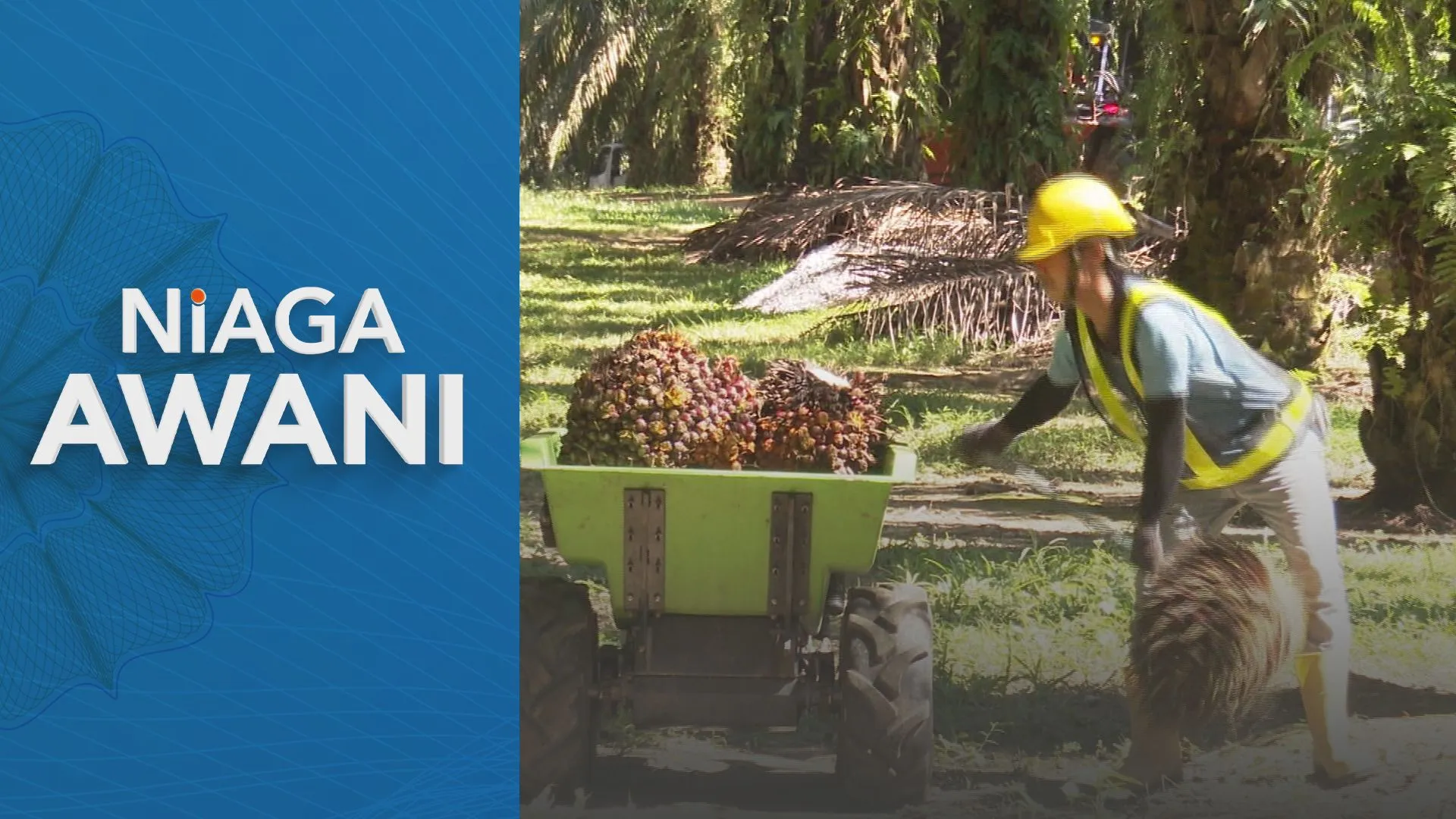 Mandat biodiesel dijangka dorong lonjakan harga