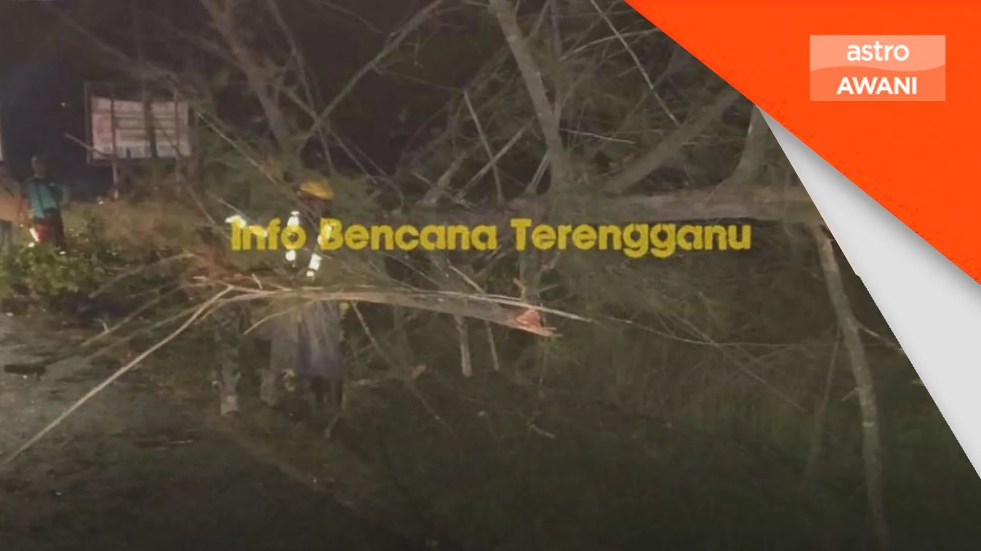 Penunggang maut motosikal langgar pokok tumbang