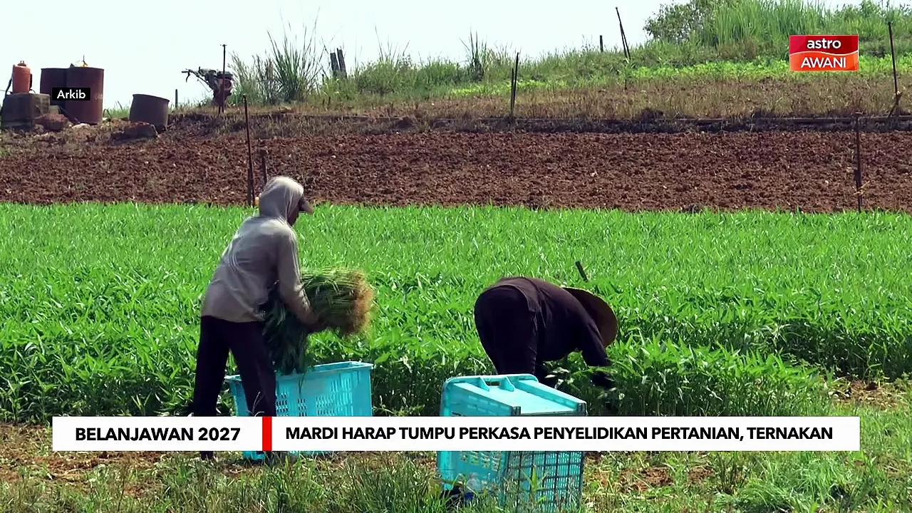 MARDI harap Belanjawan 2027 harap tumpu perkasa penyelidikan pertanian, ternakan