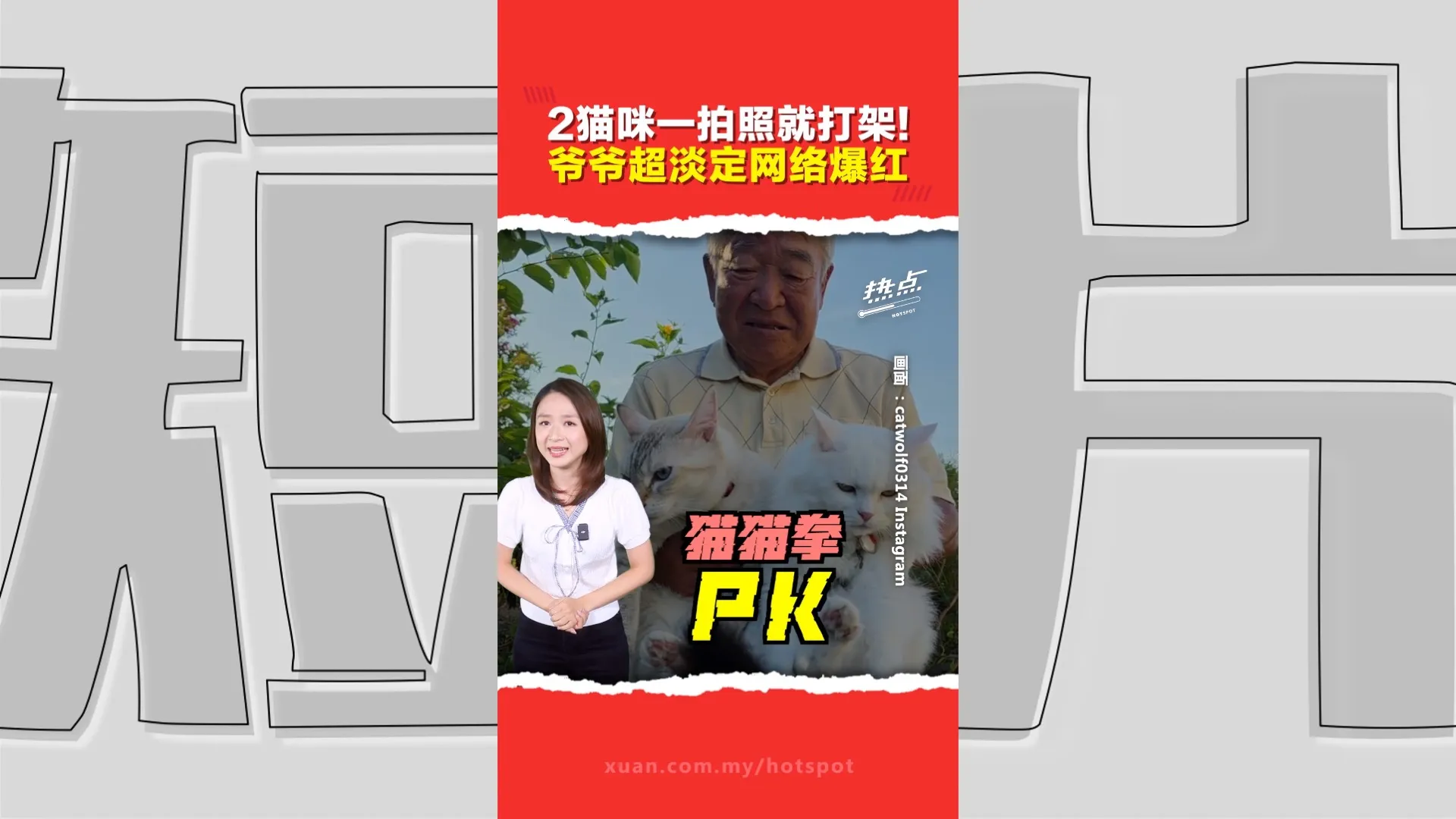 猫猫拳PK！你拍你的、我打我的！日本爷爷与2只爱猫合照爆红