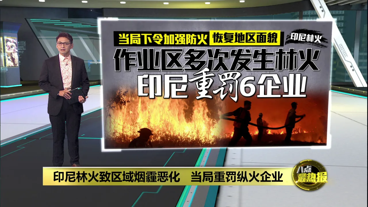 印尼林火致区域烟霾恶化   当局重罚6纵火企业