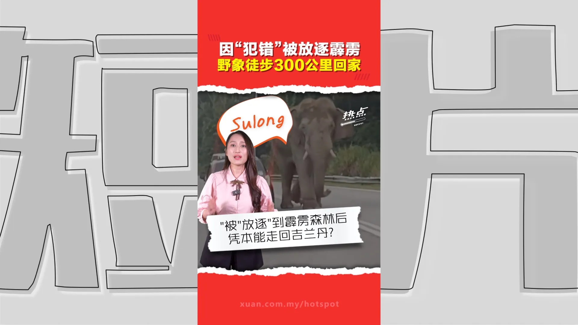 受伤野象拖伤腿徒步300公里 　网民：Sulong是不是想回家了？  野保局：密切观察行踪